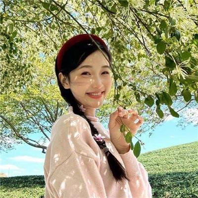 美人追
